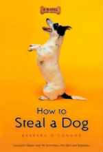 How to Steal a Dog by Barbara O'Connor 
